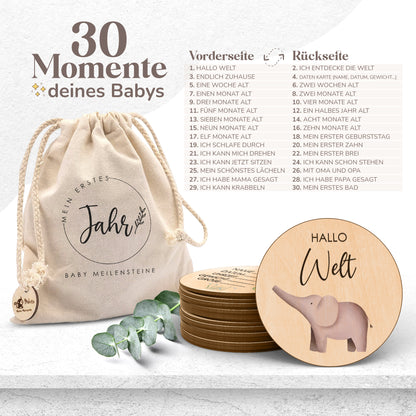 Holz Meilensteinkarten | farbige Tiermotive